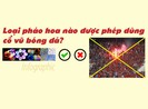 Loại pháo hoa nào được phép dùng cổ vũ bóng đá?