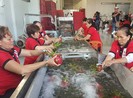 Trung Quốc truy ‘lý lịch’ gạo, chuối, xoài... Việt Nam