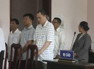 Sếp ký hợp đồng khống, cấp dưới tù tội theo
