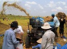 Trung Quốc siết tiêu chuẩn, hàng Việt lao đao