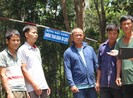 Báo động xét xử bất nhất hành vi cưa cây rừng