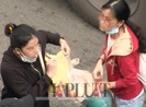 Nạn nhân: ‘Nhóm móc túi ra tay quá nhanh!’