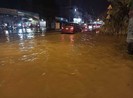 Chuyên gia Hà Lan đề xuất cách chống ngập ở quận 2, 9