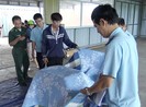 Hải quan bắt hàng nhập từ Trung Quốc ghi xuất xứ Việt Nam