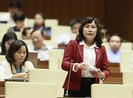 Đề xuất cán bộ hành pháp, tư pháp không làm đại biểu Quốc hội