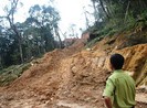 Kỳ lạ vụ án quy gỗ ra gạo để định tội