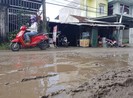 'Nhà thầu Trung Quốc thất hứa nhiều lần, không tin được'