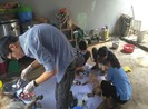 Hỗ trợ nhân đạo đàn chó trong đường dây trộm chó lớn nhất