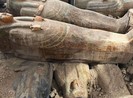 Bí hiểm 20 quan tài gỗ cổ đại được khai quật tại Ai Cập