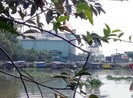 Nhà máy đường - cồn Long Mỹ Phát bị 'tuýt còi'
