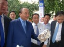 Thủ tướng tham quan triển lãm 10 năm xây dựng nông thôn mới