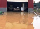 Bị lũ ống cuốn trôi, người đàn ông leo lên ngọn tre