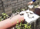 Thiết kế trụ bê tông nhưng thi công bằng sò táp lô