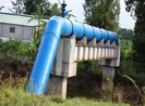Đã dừng lấy nước sông Đào, lấy nước sông Lam làm nước máy