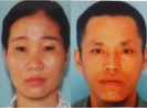 2 vợ chồng phá vườn keo của hàng xóm để 'trút giận'