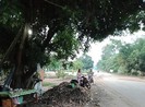 Công an Tây Ninh nói gì về việc khai quật tử thi bà mót mì?
