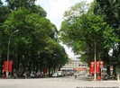 Điều chỉnh giao thông trên đường Lê Duẩn