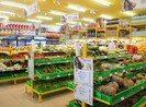 Không cần đi chợ sáng, chợ chiều rau vẫn tươi