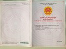 Táo tợn làm giả sổ đỏ để lập dự án ma ở quận 12