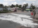 Chôn heo chết do dịch tả trong khuôn viên nhà văn hóa phường