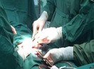 Thực hư gắn bi cho 'của quý' giúp tăng bản lĩnh quý ông