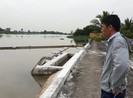 Dân kêu nước máy mặn, doanh nghiệp cấp nước nói vẫn đảm bảo