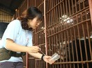 Cứu hộ bảy cá thể gấu bị nuôi nhốt ở Bình Dương, Đồng Nai