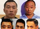 Đà Nẵng: Người nước ngoài và các tỉnh gây án ngày càng nhiều