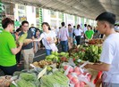 Sống xanh - Sống khỏe với Ngày hội Xanh Phú Mỹ Hưng 2019