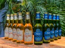 Bia Hà Nội khẳng định vị thế TOP 10 doanh nghiệp uy tín