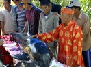 Cá Ông trôi dạt vào biển Tịnh Kỳ, Quảng Ngãi