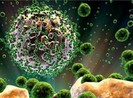 Australia tìm ra chìa khóa chữa căn bệnh HIV/AIDS