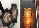 Bắt giữ 6 kg sản phẩm nghi ngà voi