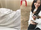 Diễn viên Kim Nhã nói về lý do bị tài xế GO VIET đánh