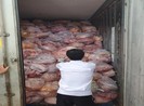 Hàng ngàn trường hợp vi phạm an toàn thực phẩm ở TP.HCM