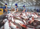 Người Mexico thích ăn cá tra, basa Việt Nam