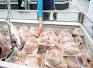 Gà nhập khẩu vào Việt Nam có đảm bảo an toàn?
