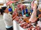 Mất 1,4 triệu con heo, Đồng Nai quyết định tái đàn