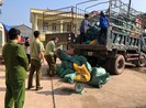 Phát hiện xuất lậu chân heo, lòng heo... sang Trung Quốc