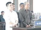 Nhiều quan chức không bị tội trong vụ phá 110 ha rừng