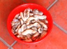 Sản vật tiến vua trôi dạt vào bờ biển