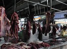 Bò Úc loạn giá