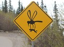 Những biển báo có một không hai trên cung đường Alaska
