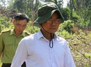 Lãnh đạo khu bảo tồn ở Đồng Nai nói về việc cây rừng bị hạ