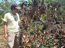 Đoàn ĐBQH tỉnh Đồng Nai hối thúc công an vụ vườn bơ bị hạ độc
