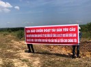 Đồng Nai: Bắt Giám đốc công ty bất động sản bán 'dự án ma'