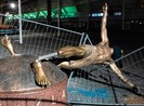 Tượng đài huyền thoại Ibrahimovic sẽ được dựng lại
