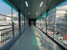Cận cảnh cầu bộ hành có thang máy hiện đại nhất TP.HCM