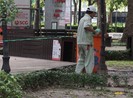 Ngày đầu TP.HCM tạm dừng hoạt động tập thể ở công viên