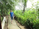 Nhật chọn Cần Thơ là điểm đến du lịch mới ở Việt Nam